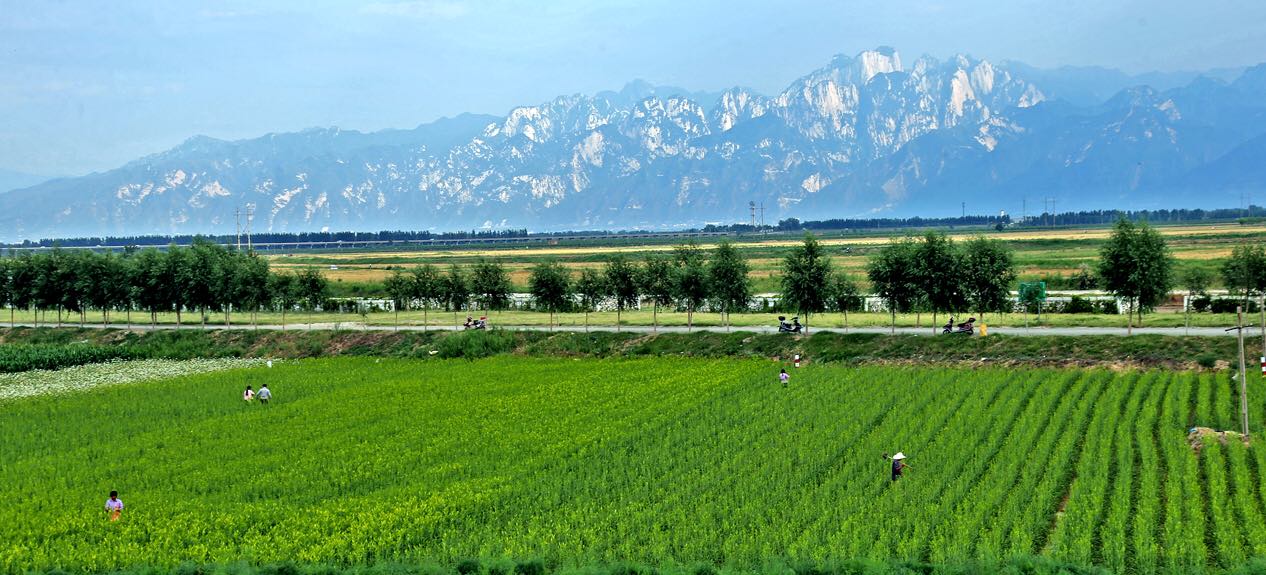  p>苏村镇,隶属于 a target="_blank" href="/item/陕西省">陕西省 /a