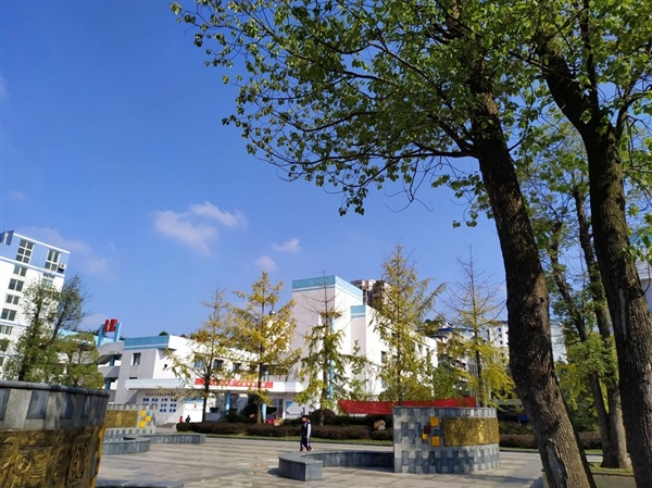 自贡市汇东实验学校