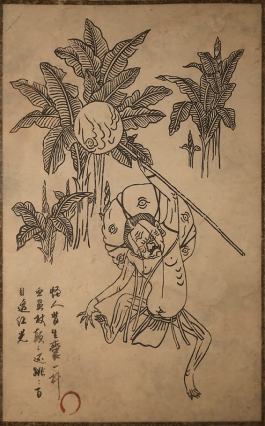 百目真人_百度百科
