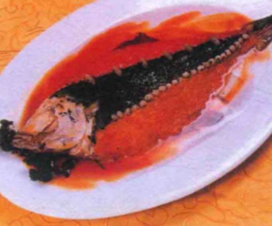 三色牙片鱼_百度百科