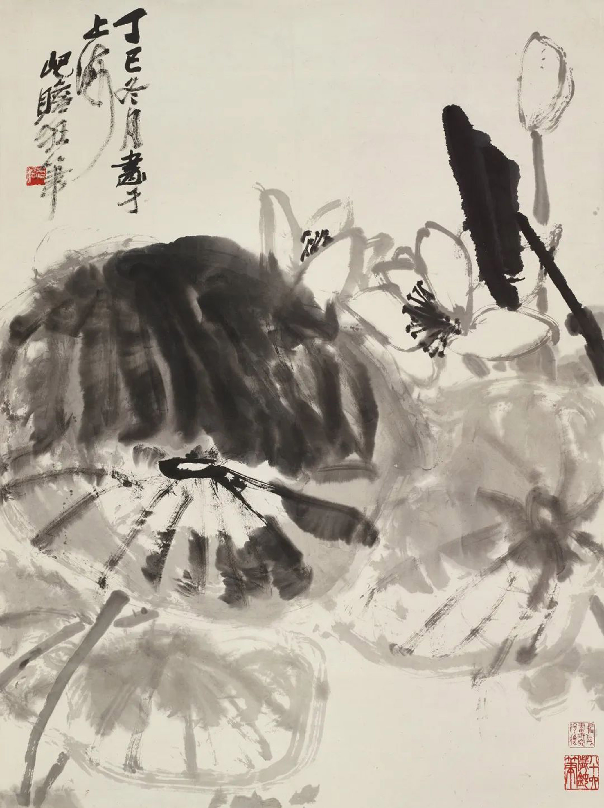 《白荷》是"海晏河清 朗朗乾坤