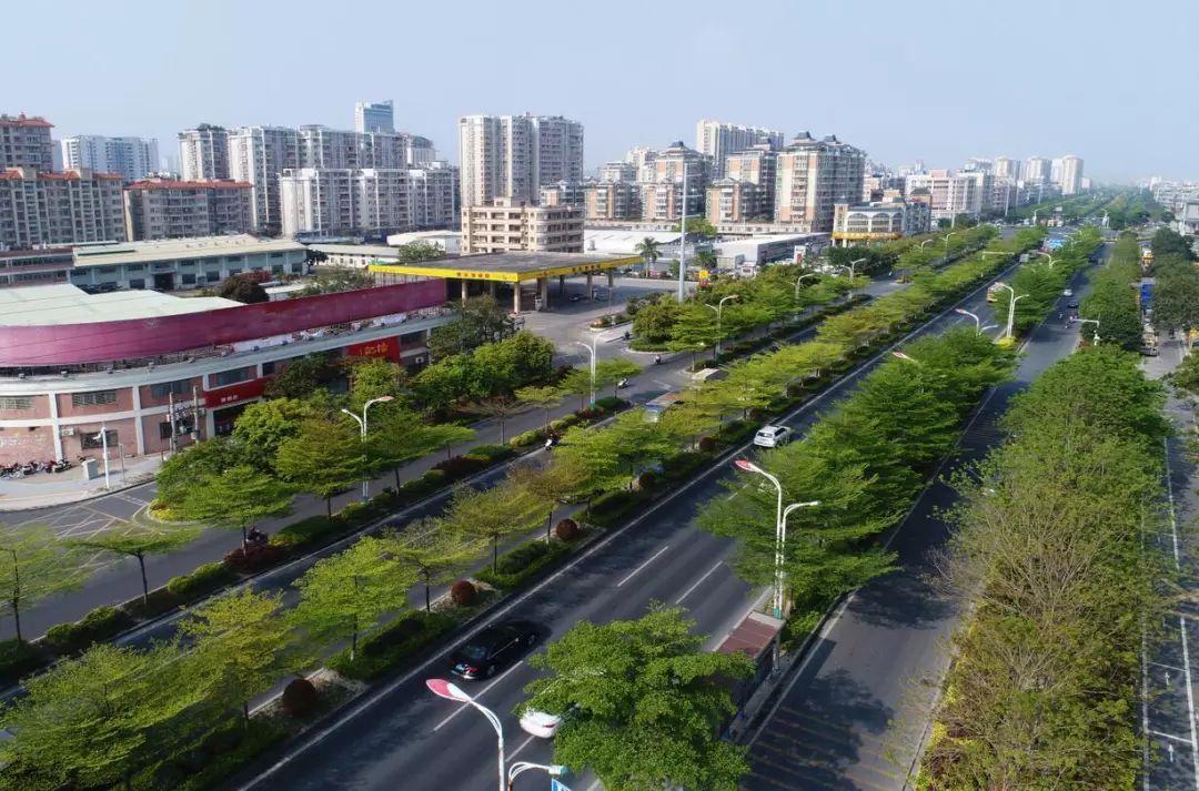 揭阳市市区园林绿化管理办法