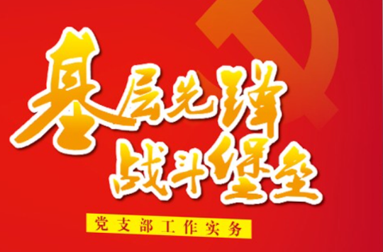 基层先锋战斗堡垒:党支部工作实务
