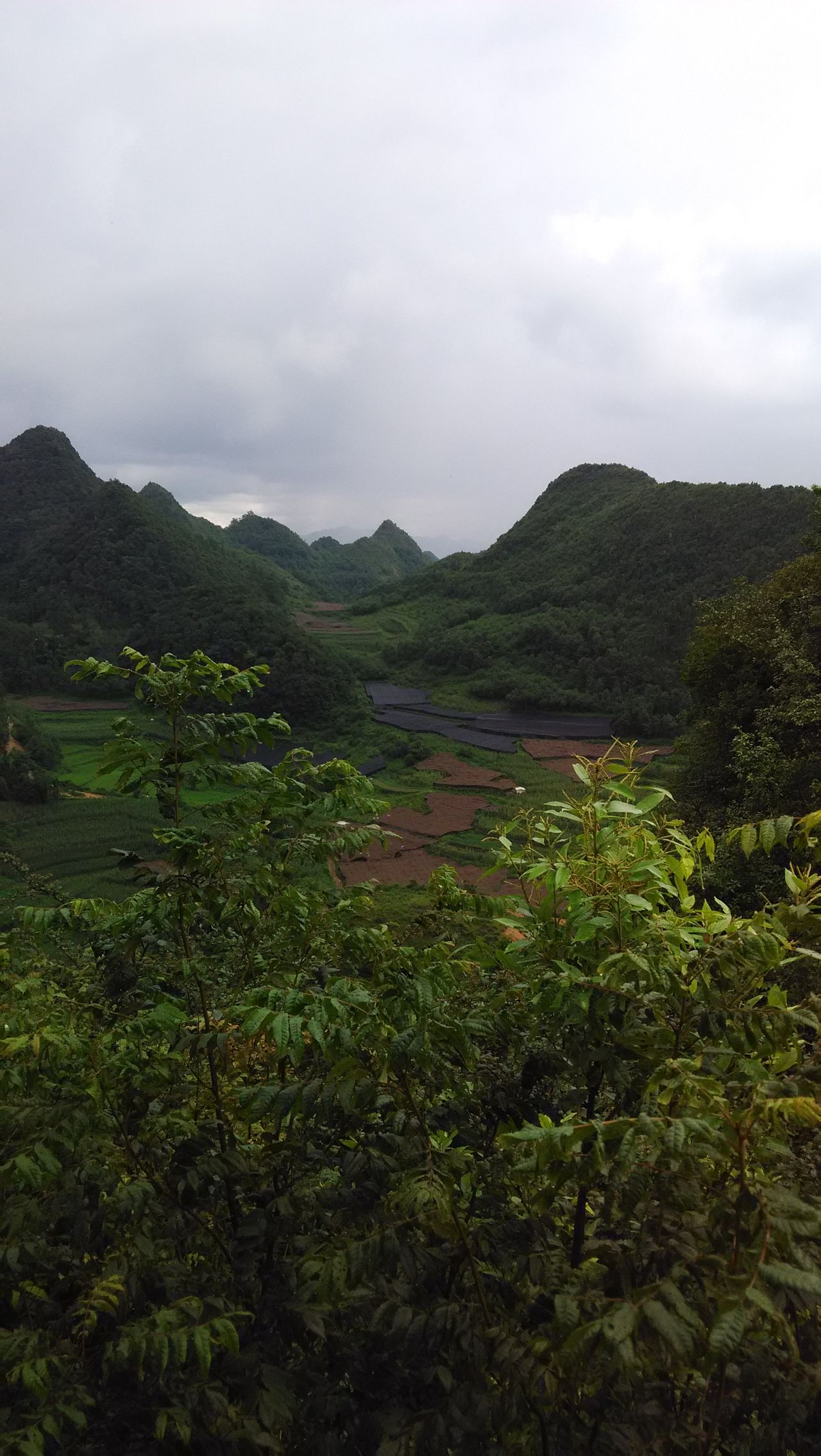  p>小维莫自然村,隶属于云南省文山壮族苗族自治州广南县珠街镇珠街村