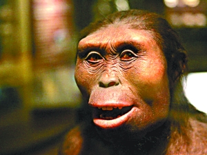  p>乍得沙赫人(sahelanthropus tchadensis),又名乍得人猿,是一种只有