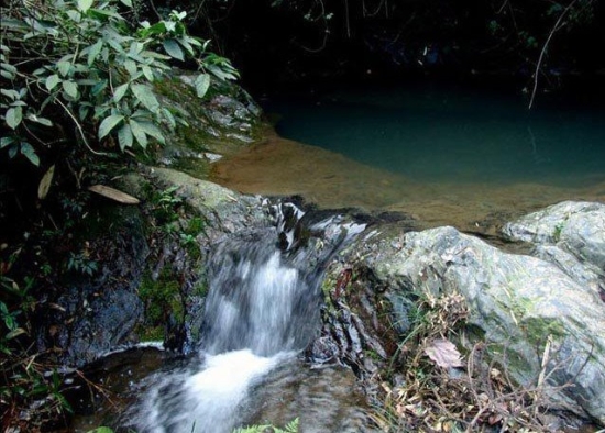 大乘山森林公园