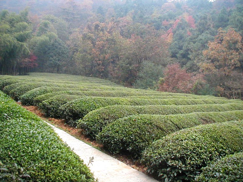 真武顶风景区