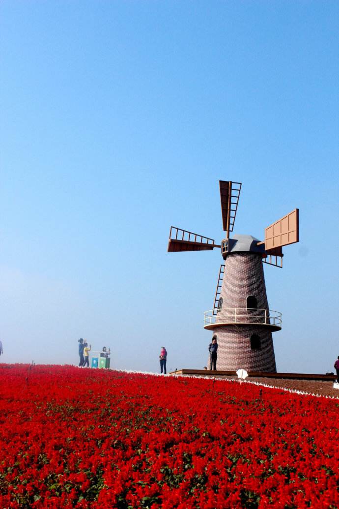  p>牛角大圩生态农业园位于安徽省合肥市,地处 a target="_blank"