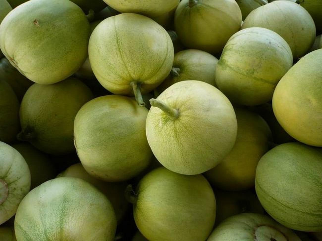  p>日本甜宝是一种甜瓜,是中晚熟瓜果.