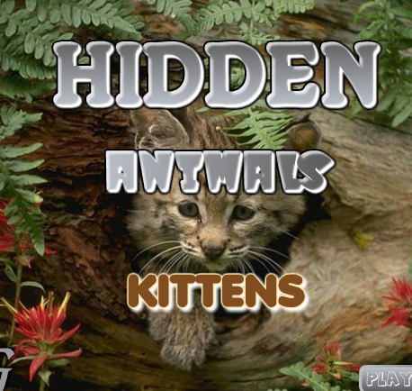 小猫找动物_百度百科