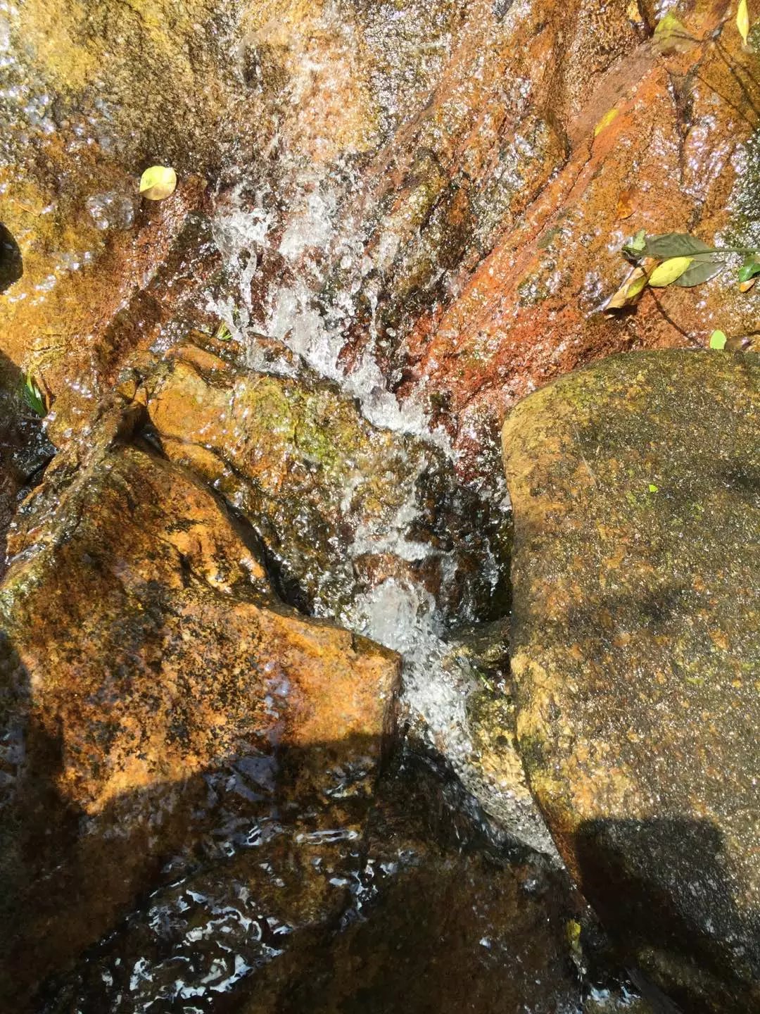 位于泉州市泉港区海拔803米的大雾山和海拔727米的笔架山倚水耸立,山