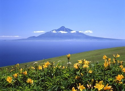 礼文岛 百度百科