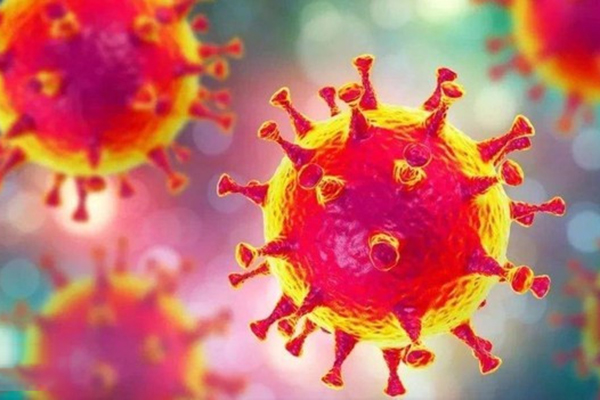 ",是指 a target="_blank" href="/item/2019新型冠状病毒/24267858"