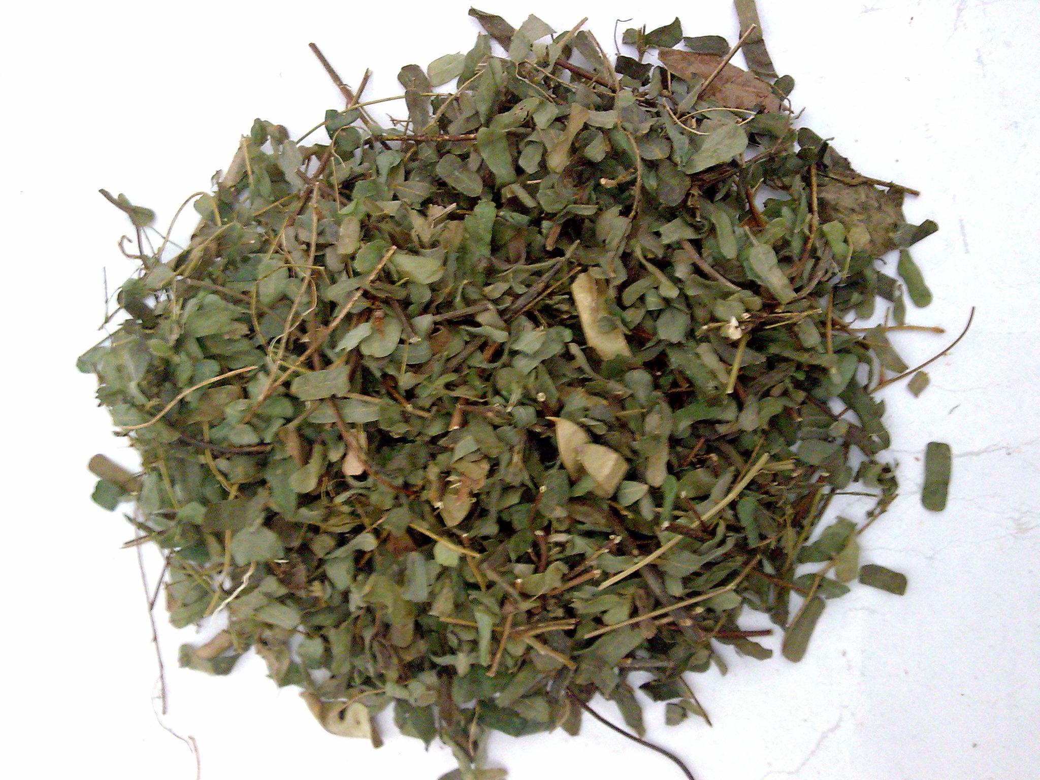 鸡骨草还可在春夏潮湿季节用来煲汤作食疗. /p>