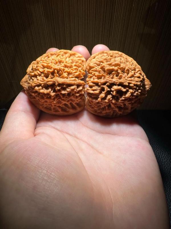 文玩堂：百花山满天星獅子頭（精品级）红皮 满天星狮子头_百度百科
