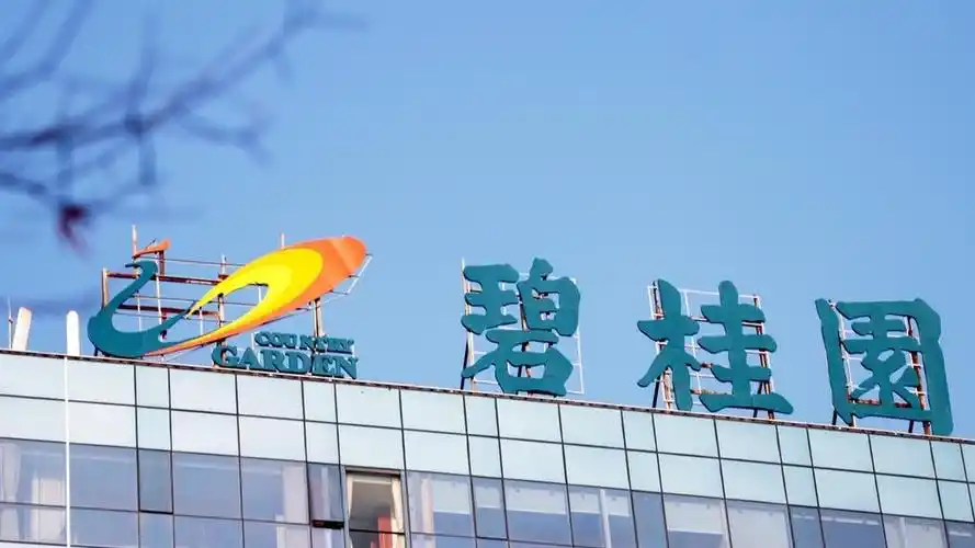 碧桂园地产集团有限公司