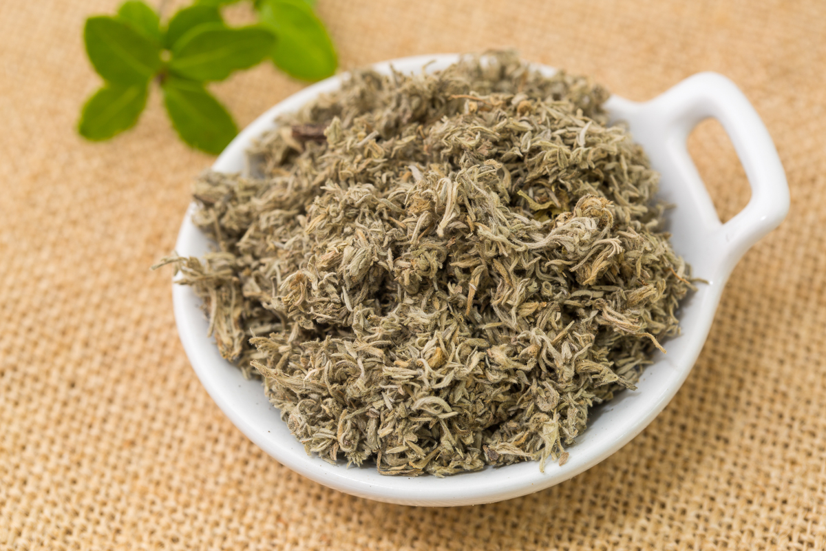  p>茵陈蒿(学名: i>artemisia capillaris /i> thunb.