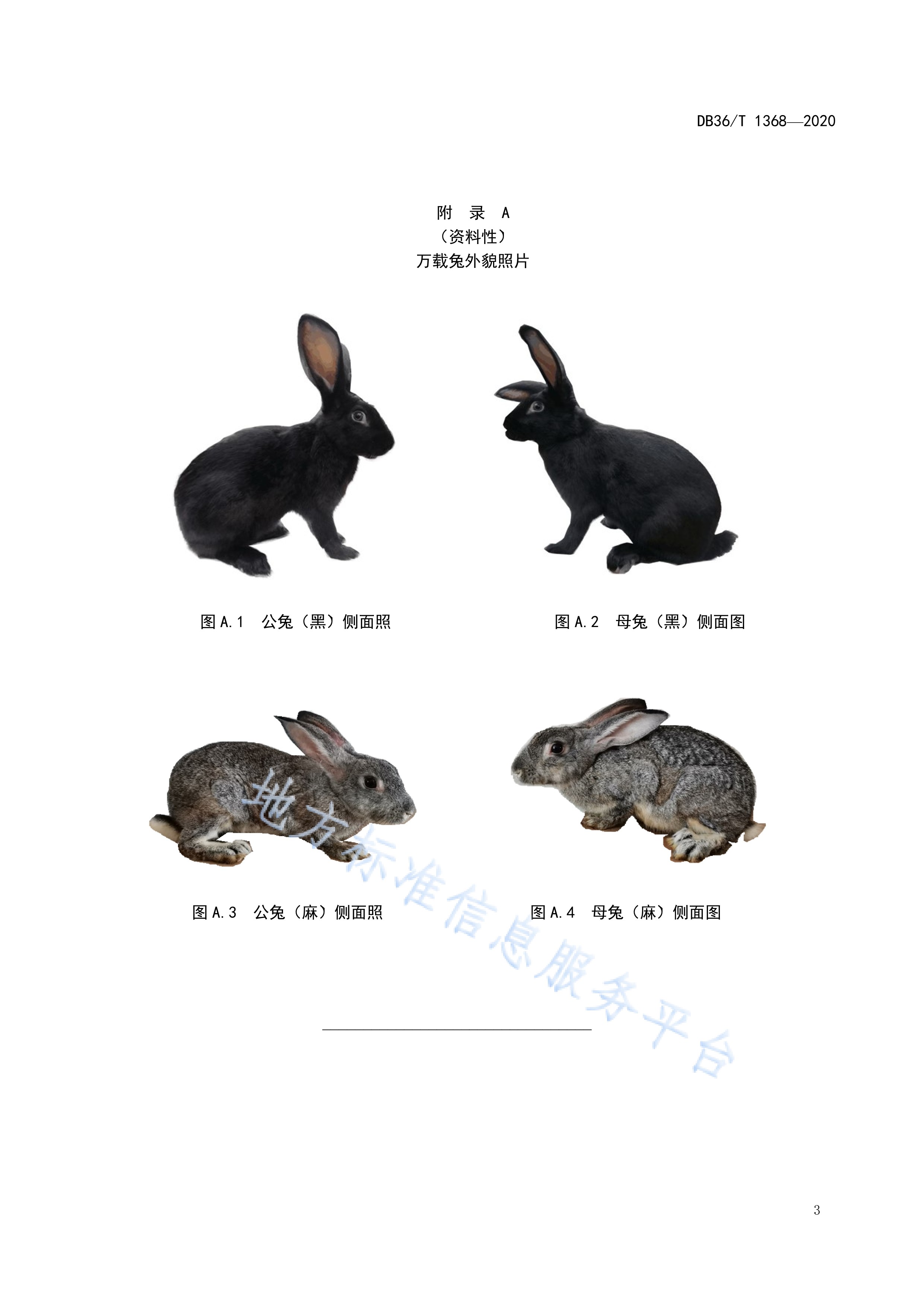  /p> p>地方标准《万载兔》(db36/t 1368-2020)规定了万载兔品种来源