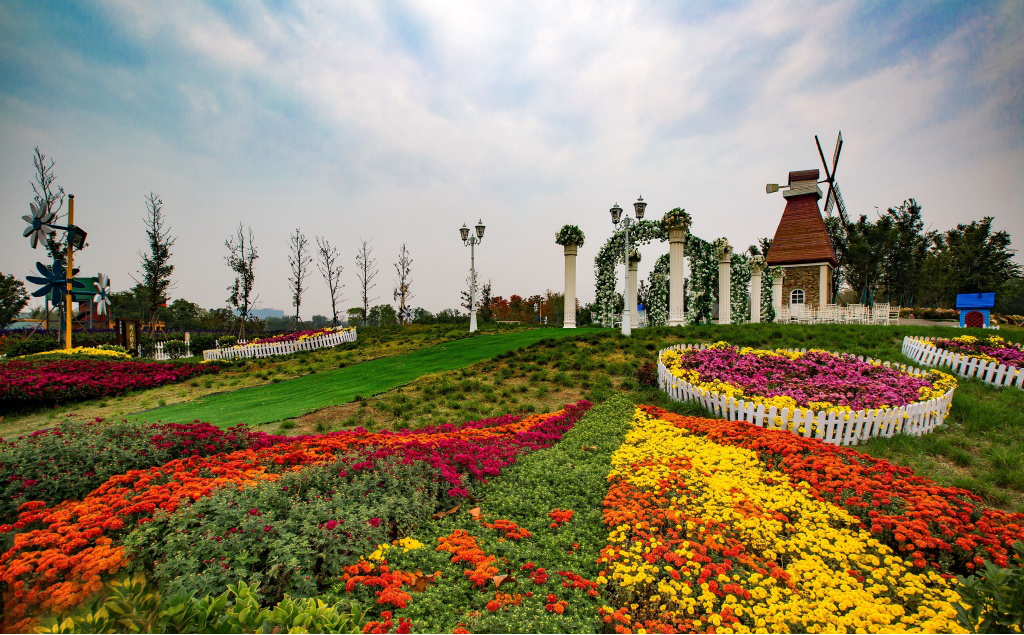  p>泰山花海景区位于泰安市岱岳区,占地2000余亩,总投资6亿元,以花卉