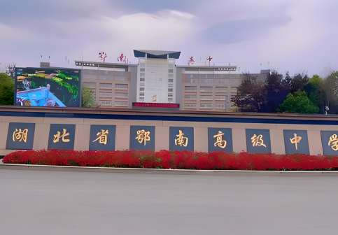 湖北省鄂南高级中学图片
