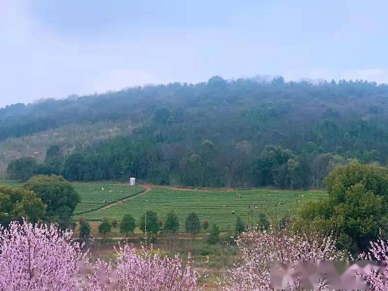 佛子山镇,隶属湖北省 a target="_blank" href="/item/天门市/372782"