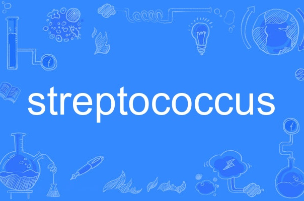 streptococcus