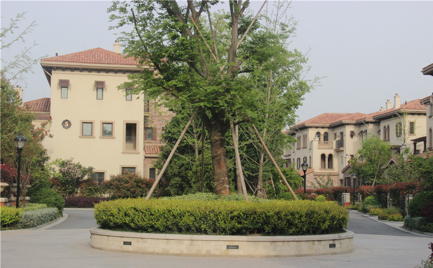 众安绿色港湾(一期塞维利亚)