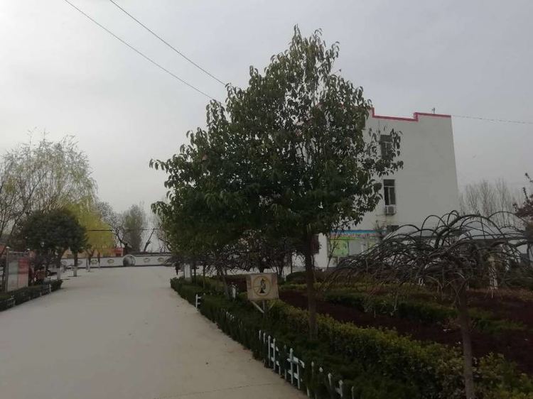 target="_blank" href="/item/肥城市/2096967" data-lemmaid="