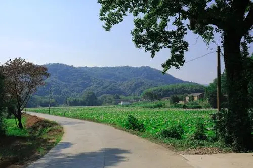  p>蔡坊乡,隶属于江西省赣州市 a target="_blank" href="/item/安远