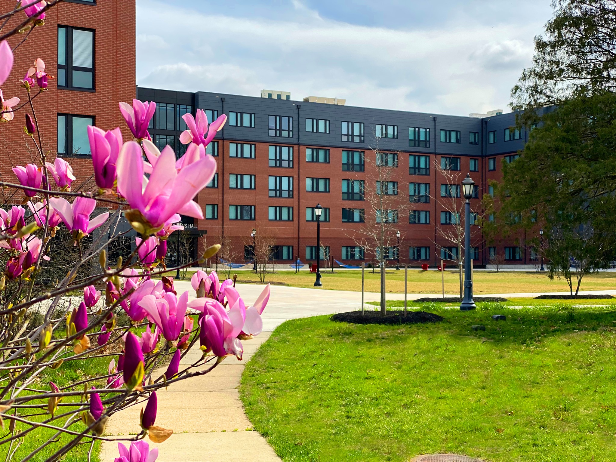 特拉华州立大学