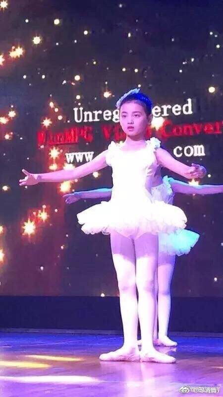  p data-id="go492vtl02">林臻娅,女,杭州纵火