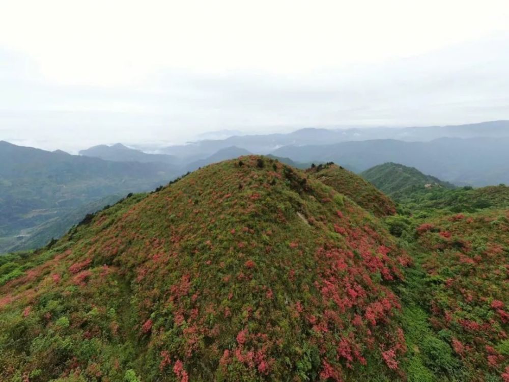 十里平坦