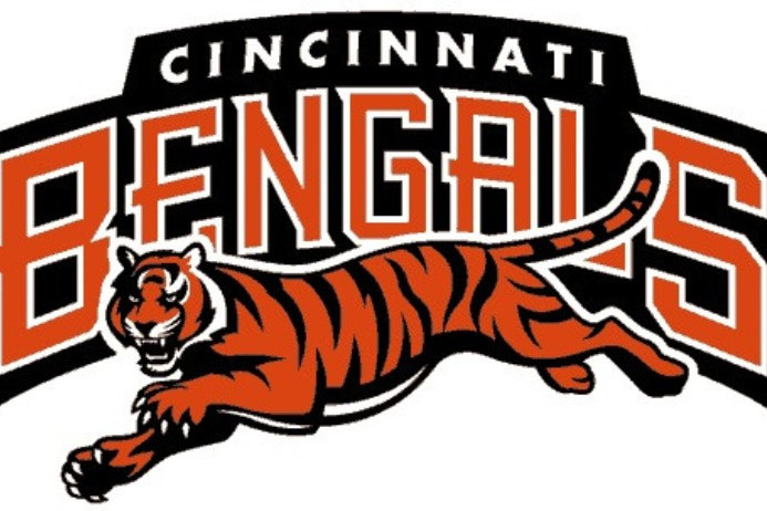 辛辛那提猛虎队
