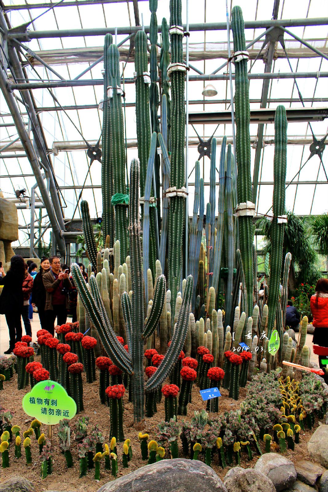 重庆市南山植物园