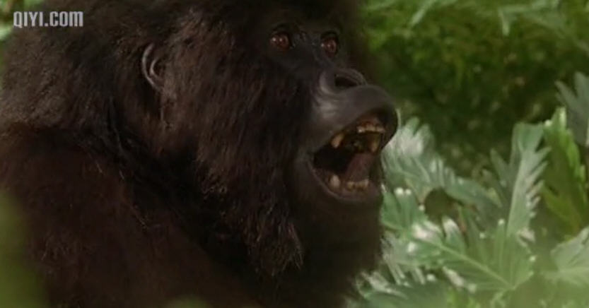 巨猩乔扬mightyjoeyoung(1998)