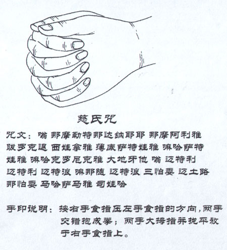  p data-id="gnxax9k19r">慈氏咒,这是大愚祖师为那些希望往生兜率