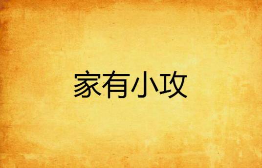 家有小攻_百度百科