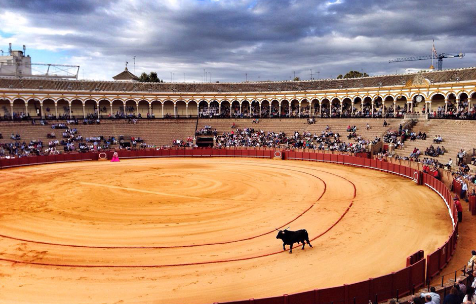 皇家骑士斗牛场