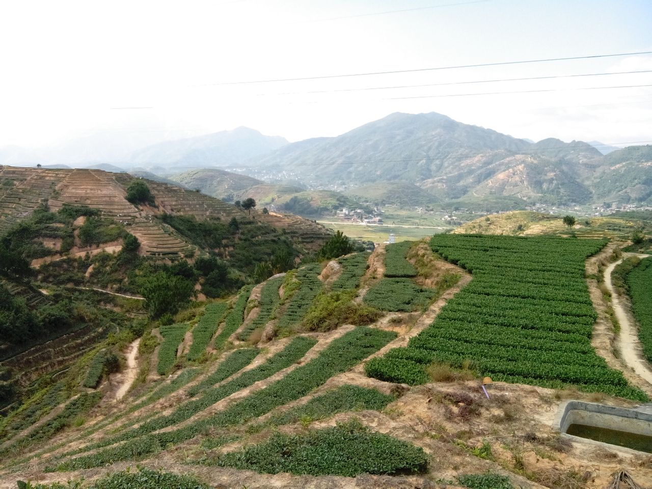  p>安溪县 a target="_blank" href="/item/长坑乡/1935335" data