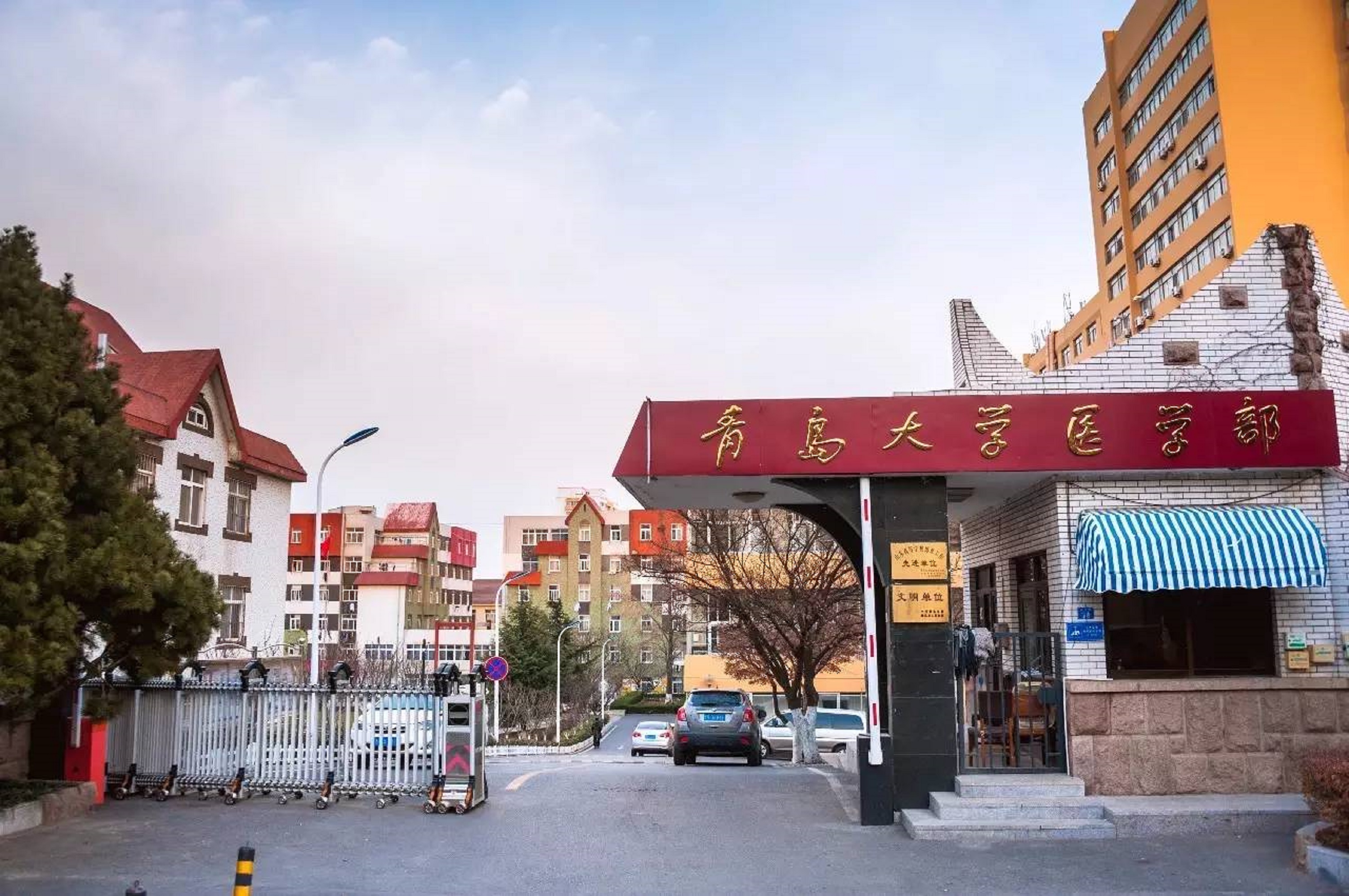 青岛大学