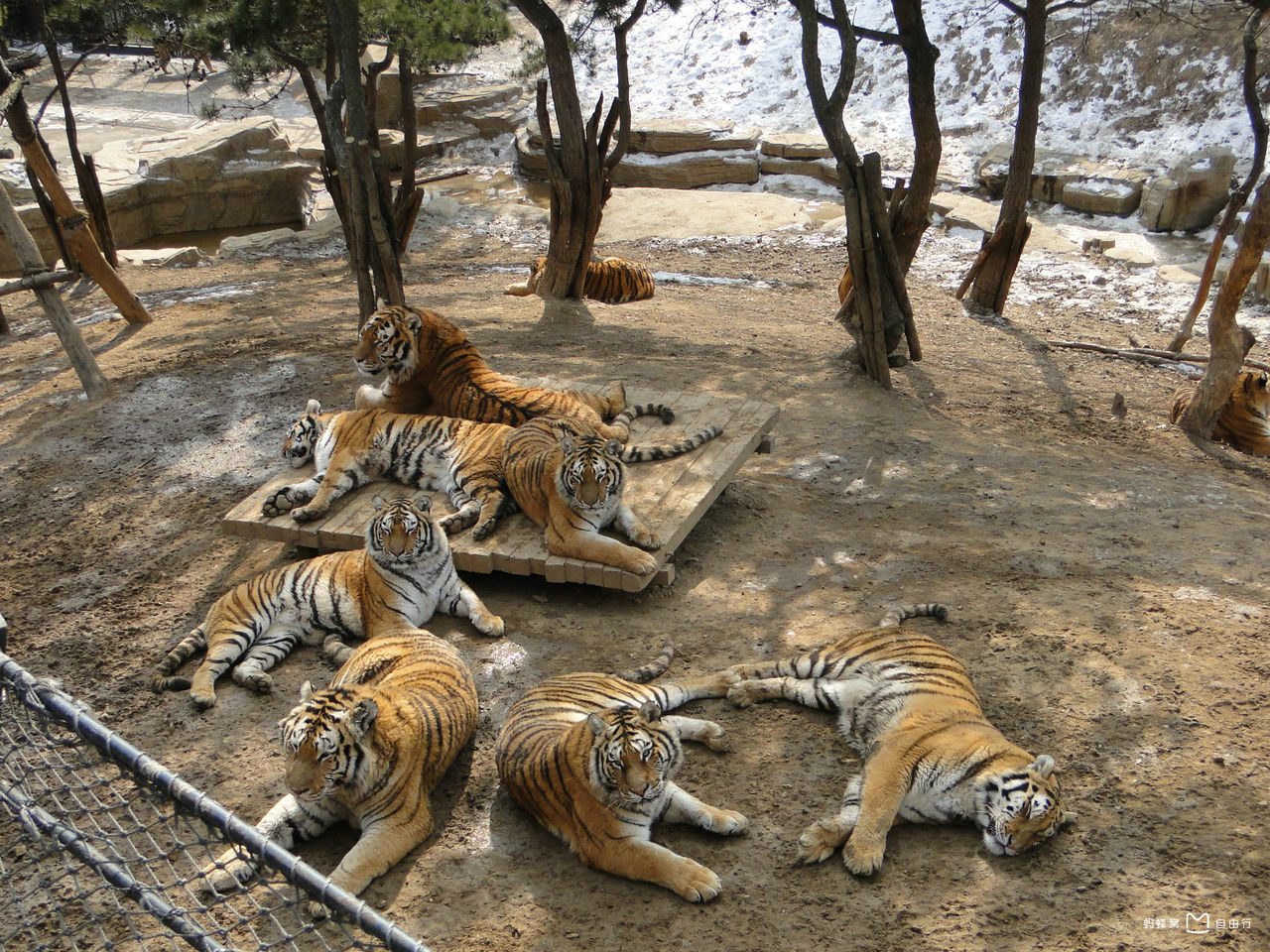 大连森林动物园一期