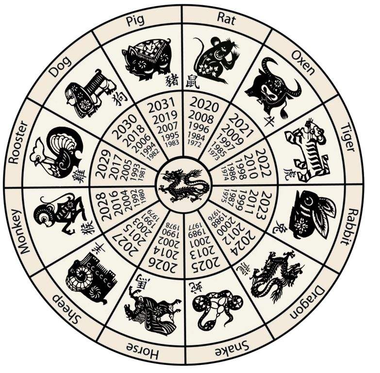 出生图