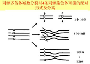 骤变说