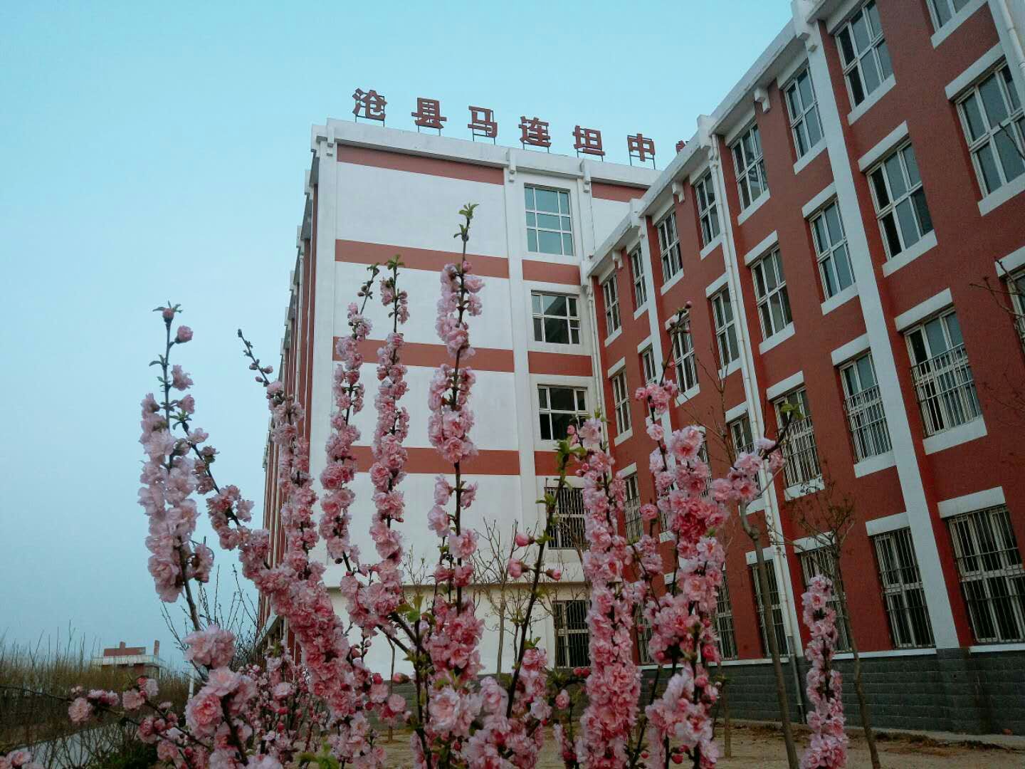 沧县马连坦中学