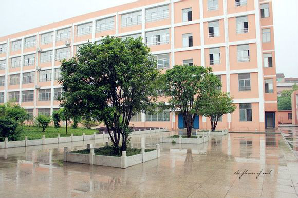 安庆市第十一中学