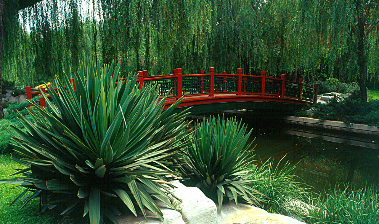  p data-id="gnxavoxtl3">北京菖蒲河公园位于 a target="_blank"