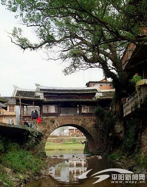  p>青街畲族乡位于 a target="_blank" href="/item/平阳县/82447"