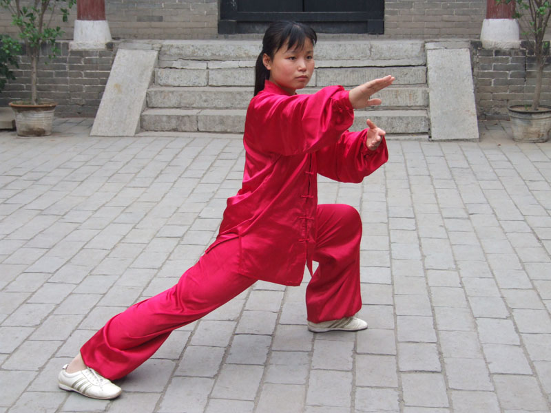  p>杨式太极拳是历史悠久的拳术,太极拳的重要流派之一,是由河北省 a