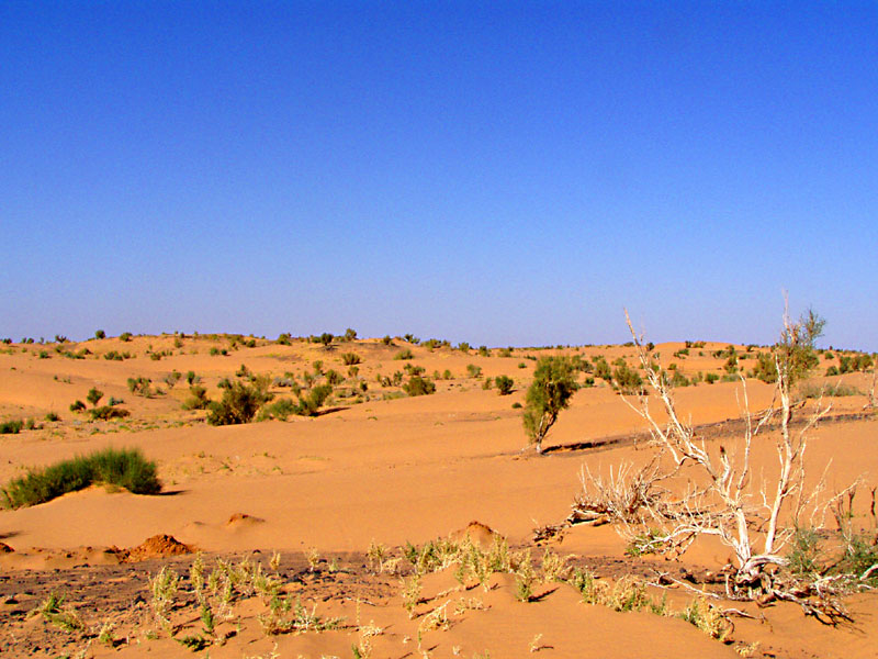  p data-id="gnyxa40ktb">玛瑙湖位于内蒙古巴彦淖尔市乌拉特后旗巴音