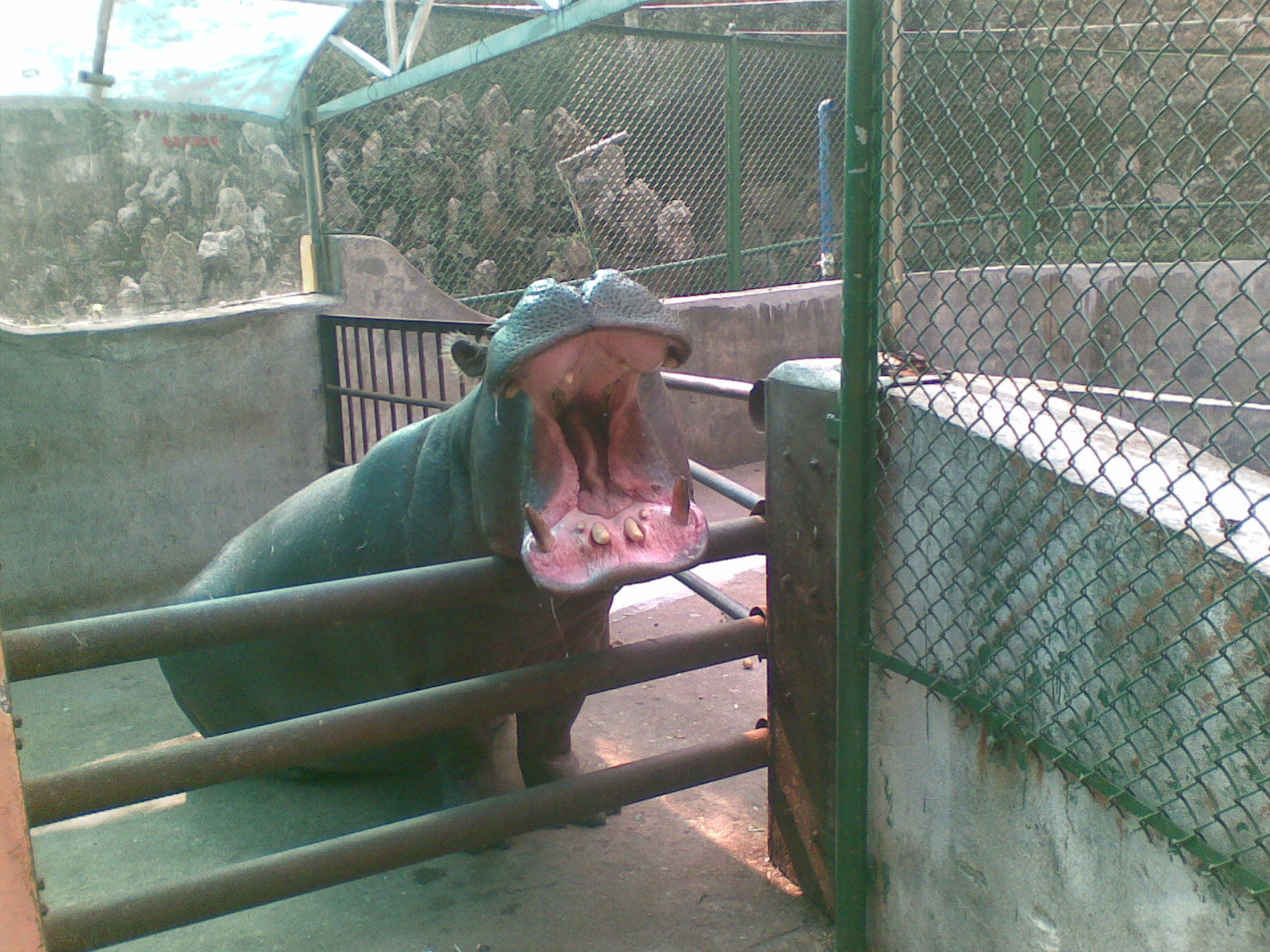  p>衡阳动物园坐落于中南重镇 a href="#" data-lemmaid="235811">